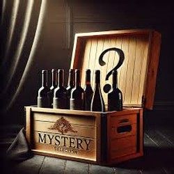 Mystery Case